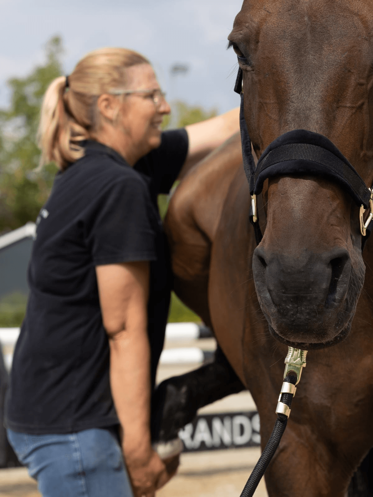 Pferdephysiotherapie (begleitend)