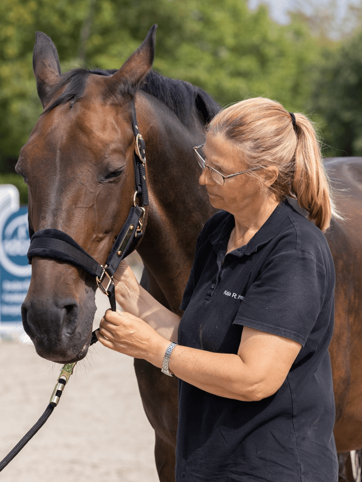 Reitunterricht mit Gefühl – Reitbetrieb Strerath